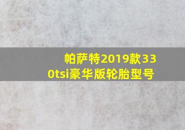 帕萨特2019款330tsi豪华版轮胎型号