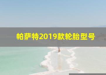 帕萨特2019款轮胎型号