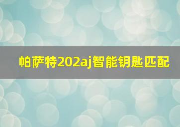 帕萨特202aj智能钥匙匹配