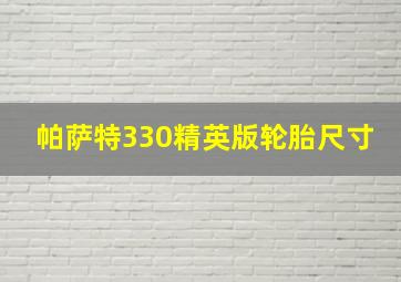 帕萨特330精英版轮胎尺寸