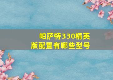 帕萨特330精英版配置有哪些型号