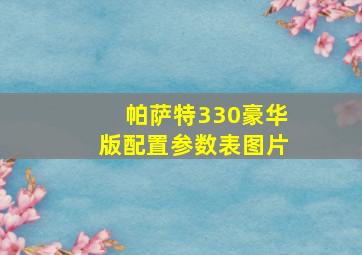 帕萨特330豪华版配置参数表图片