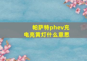 帕萨特phev充电亮黄灯什么意思