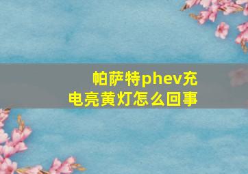 帕萨特phev充电亮黄灯怎么回事