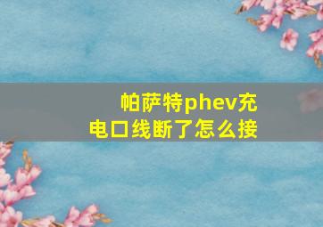 帕萨特phev充电口线断了怎么接