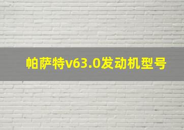 帕萨特v63.0发动机型号