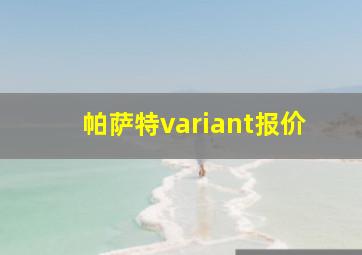 帕萨特variant报价