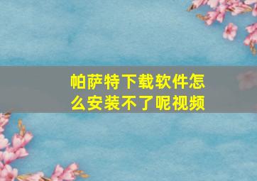 帕萨特下载软件怎么安装不了呢视频