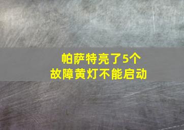 帕萨特亮了5个故障黄灯不能启动