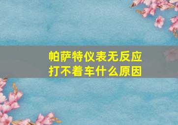 帕萨特仪表无反应打不着车什么原因