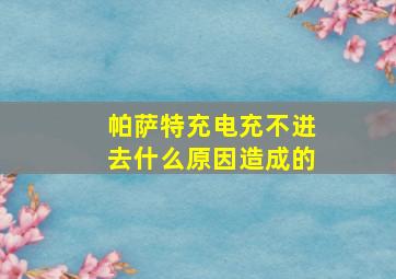 帕萨特充电充不进去什么原因造成的