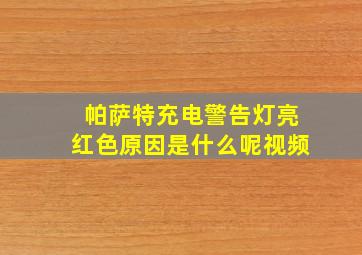 帕萨特充电警告灯亮红色原因是什么呢视频