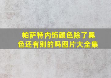 帕萨特内饰颜色除了黑色还有别的吗图片大全集