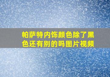 帕萨特内饰颜色除了黑色还有别的吗图片视频