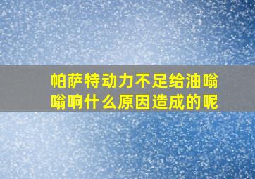 帕萨特动力不足给油嗡嗡响什么原因造成的呢