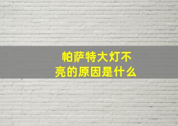 帕萨特大灯不亮的原因是什么