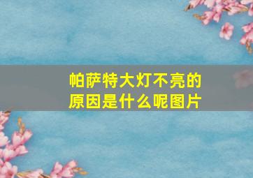 帕萨特大灯不亮的原因是什么呢图片