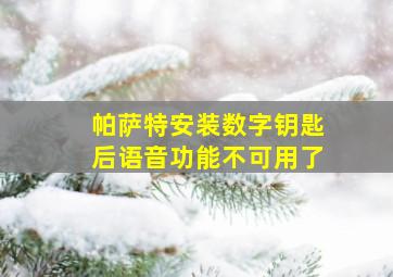 帕萨特安装数字钥匙后语音功能不可用了