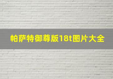 帕萨特御尊版18t图片大全