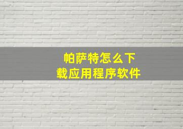 帕萨特怎么下载应用程序软件