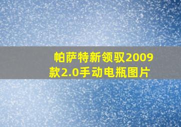 帕萨特新领驭2009款2.0手动电瓶图片