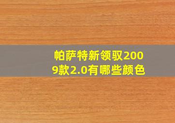 帕萨特新领驭2009款2.0有哪些颜色