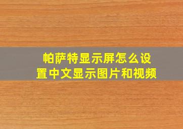 帕萨特显示屏怎么设置中文显示图片和视频