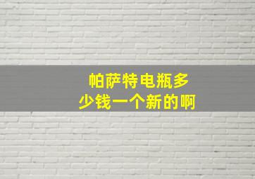 帕萨特电瓶多少钱一个新的啊