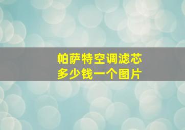 帕萨特空调滤芯多少钱一个图片