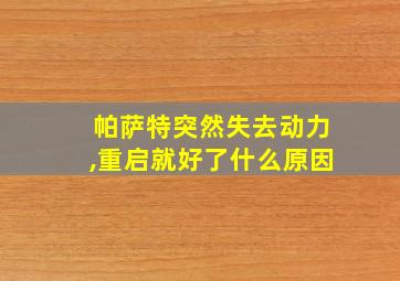 帕萨特突然失去动力,重启就好了什么原因