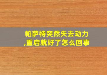 帕萨特突然失去动力,重启就好了怎么回事