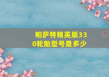 帕萨特精英版330轮胎型号是多少