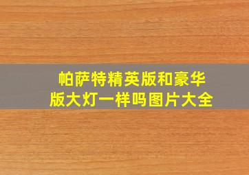 帕萨特精英版和豪华版大灯一样吗图片大全