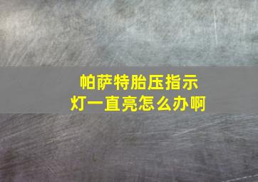 帕萨特胎压指示灯一直亮怎么办啊