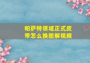 帕萨特领域正式皮带怎么换图解视频