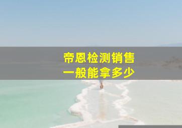 帝恩检测销售一般能拿多少