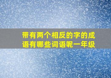 带有两个相反的字的成语有哪些词语呢一年级