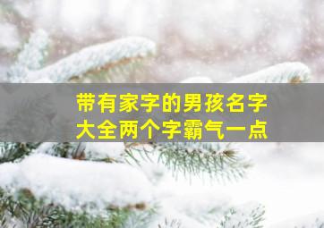 带有家字的男孩名字大全两个字霸气一点