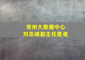 常州大数据中心刘志峰副主任是谁