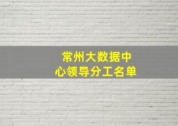 常州大数据中心领导分工名单