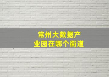 常州大数据产业园在哪个街道