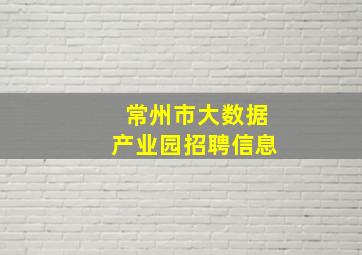 常州市大数据产业园招聘信息