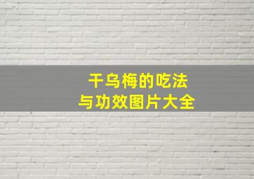 干乌梅的吃法与功效图片大全