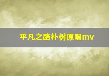 平凡之路朴树原唱mv