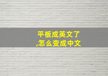 平板成英文了,怎么变成中文