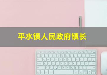 平水镇人民政府镇长