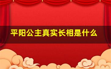 平阳公主真实长相是什么