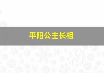 平阳公主长相