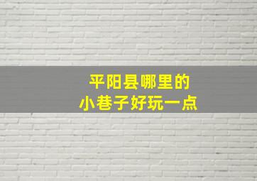 平阳县哪里的小巷子好玩一点