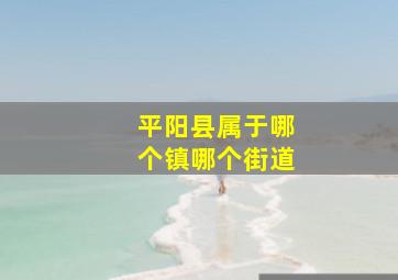 平阳县属于哪个镇哪个街道